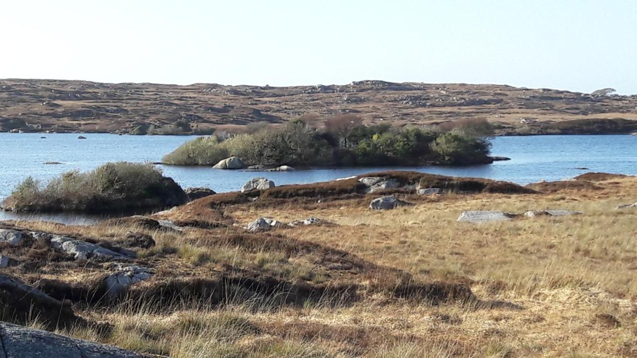 An Crann Glas Galway Kültér fotó